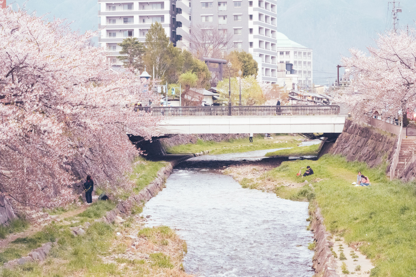 花見を楽しむ1泊2日