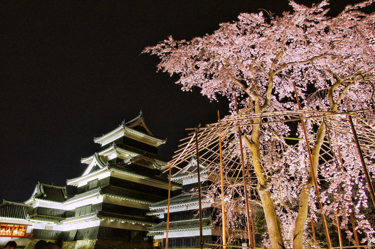 松本城 夜桜会