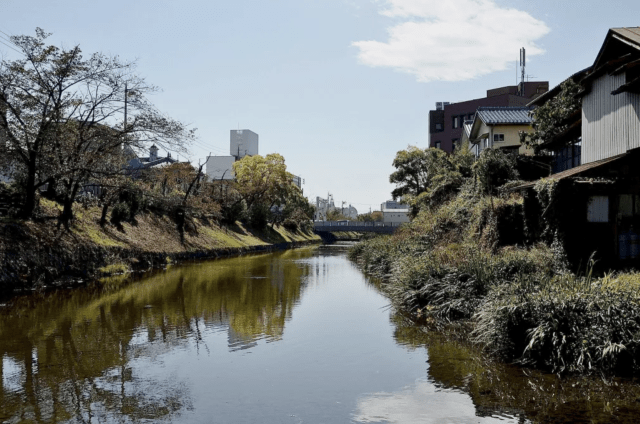 National Treasure Matsumoto Castle Moat
